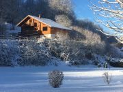 Ferienunterknfte Les Carroz D'Araches: chalet Nr. 55038