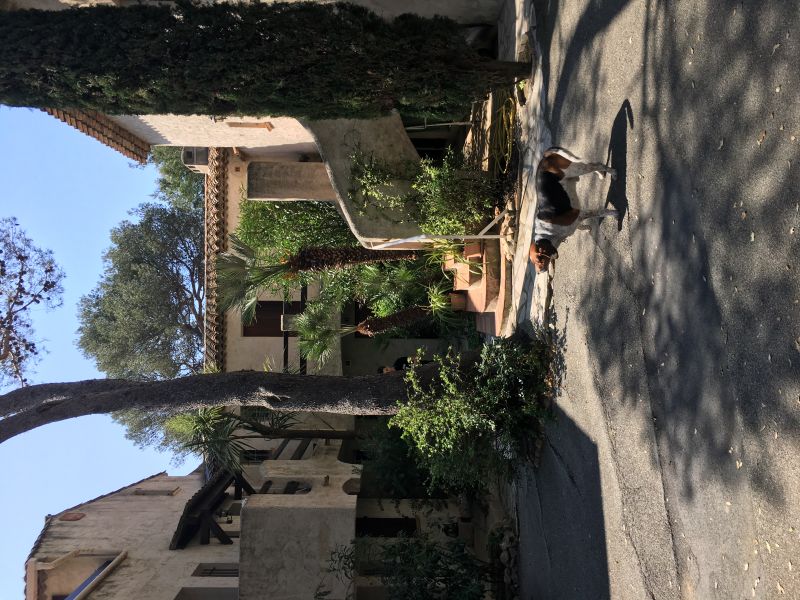 foto 0 Mietobjekt von Privatpersonen Saint Aygulf appartement Provence-Alpes-Cte d'Azur Var Eingang
