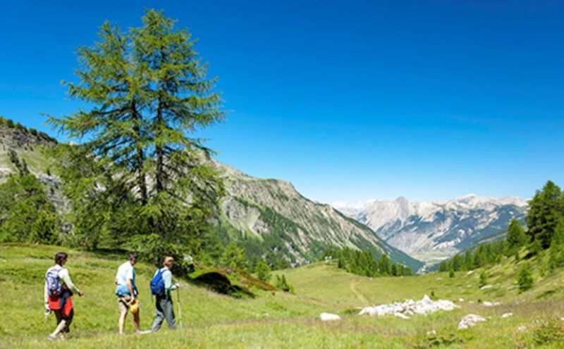 foto 14 Mietobjekt von Privatpersonen Ceillac en Queyras studio Provence-Alpes-Cte d'Azur Hautes-Alpes