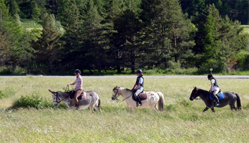 foto 18 Mietobjekt von Privatpersonen Ceillac en Queyras studio Provence-Alpes-Cte d'Azur Hautes-Alpes