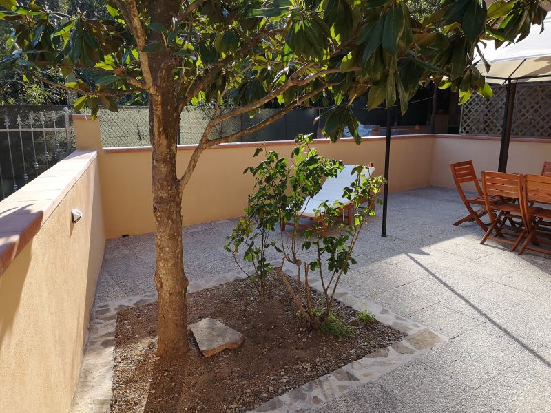 foto 25 Mietobjekt von Privatpersonen Porto Azzurro appartement Toskana Elba Garten