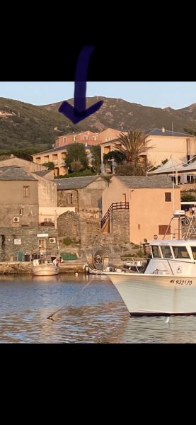 foto 9 Mietobjekt von Privatpersonen Centuri appartement Korsika Haute-Corse Nahaufnahme