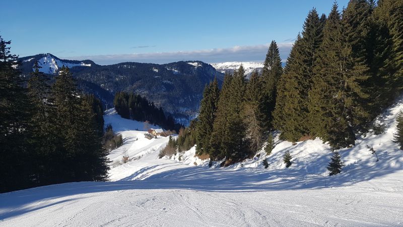 foto 18 Mietobjekt von Privatpersonen Bellevaux Hirmentaz La Chvrerie studio Rhne-Alpes Haute-Savoie Nahaufnahme