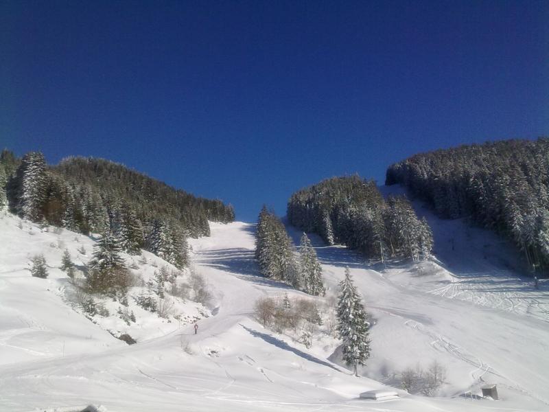 foto 5 Mietobjekt von Privatpersonen Bellevaux Hirmentaz La Chvrerie studio Rhne-Alpes Haute-Savoie Nahaufnahme