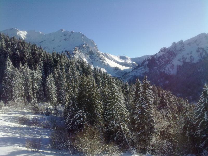 foto 16 Mietobjekt von Privatpersonen Bellevaux Hirmentaz La Chvrerie studio Rhne-Alpes Haute-Savoie Nahaufnahme