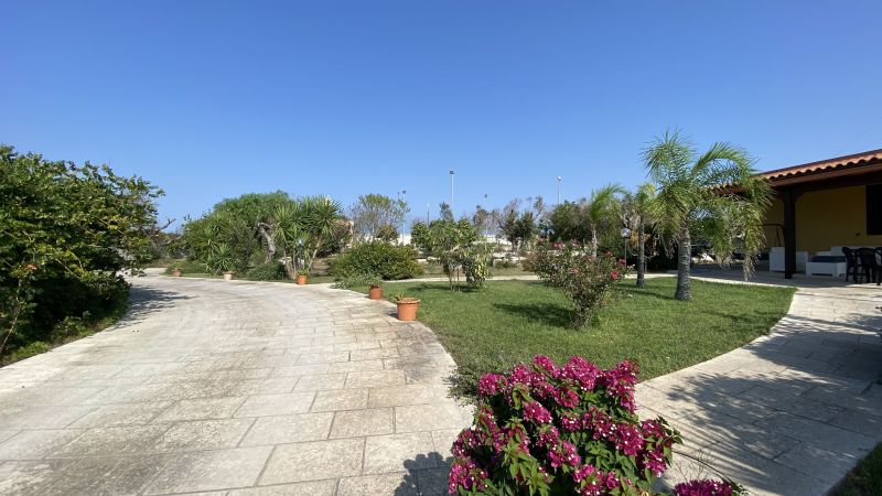 foto 21 Mietobjekt von Privatpersonen Lecce villa Apulien Lecce (+Umland) Garten