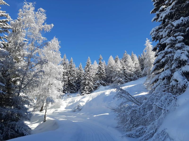 foto 21 Mietobjekt von Privatpersonen Les Arcs appartement Rhne-Alpes Savoyen andere