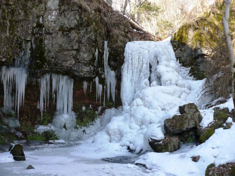 foto 21 Mietobjekt von Privatpersonen Le Lioran gite Auvergne Cantal Nahaufnahme