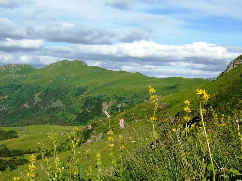 foto 28 Mietobjekt von Privatpersonen Le Lioran gite Auvergne Cantal Nahaufnahme