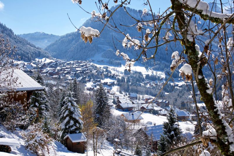 foto 20 Mietobjekt von Privatpersonen Chtel appartement Rhne-Alpes Haute-Savoie Nahaufnahme