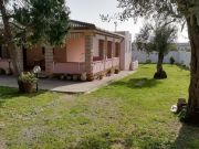 Ferienunterknfte ferienvillas: villa Nr. 59944