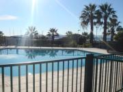 Ferienunterknfte schwimmbad Golf Von Saint Tropez: studio Nr. 60208