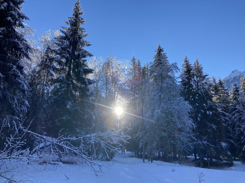 foto 19 Mietobjekt von Privatpersonen Selva di Cadore appartement Venezien Belluno (+Umgebung)