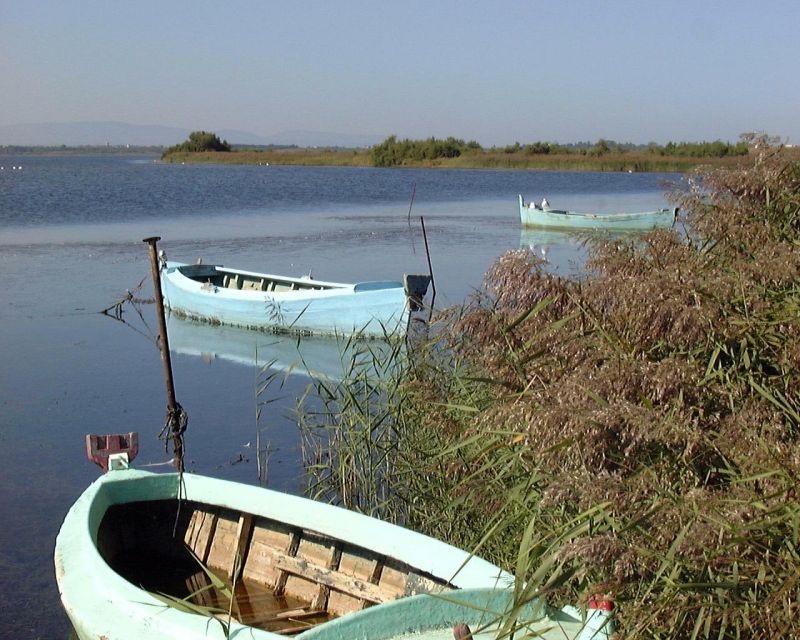 foto 14 Mietobjekt von Privatpersonen Canet-en-Roussillon studio Languedoc-Roussillon Pyrenen (Mittelmeer) Nahaufnahme