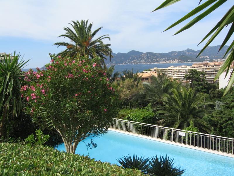 foto 6 Mietobjekt von Privatpersonen Cannes appartement Provence-Alpes-Cte d'Azur Alpes-Maritimes Schwimmbad