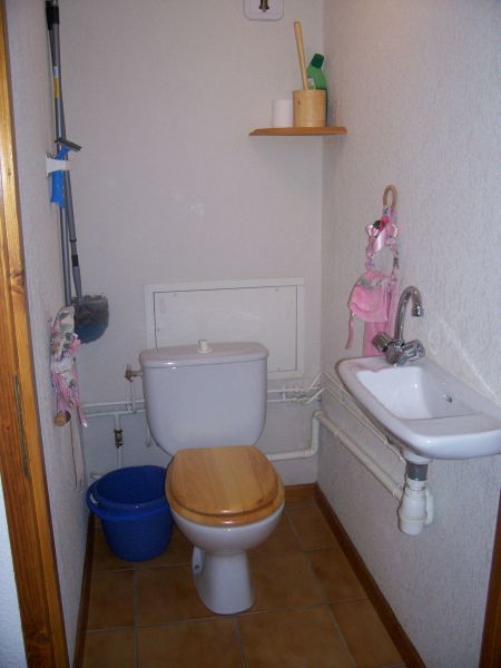 foto 24 Mietobjekt von Privatpersonen Praz sur Arly appartement Rhne-Alpes Haute-Savoie separates WC