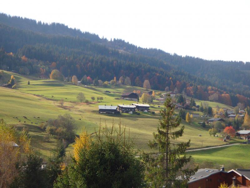 foto 6 Mietobjekt von Privatpersonen Praz sur Arly appartement Rhne-Alpes Haute-Savoie Ausblick vom Balkon