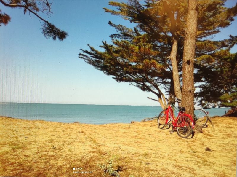 foto 10 Mietobjekt von Privatpersonen Saint Georges d'Olron maison Poitou-Charentes Charente-Maritime Strand