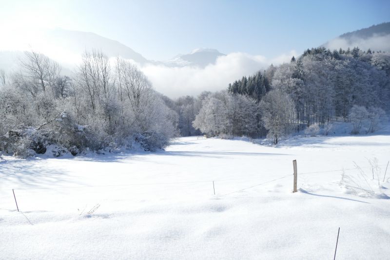 foto 18 Mietobjekt von Privatpersonen Les Carroz d'Araches gite Rhne-Alpes Haute-Savoie Nahaufnahme