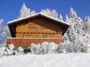 Ferienunterknfte Grand Massif fr 5 personen: chalet Nr. 642