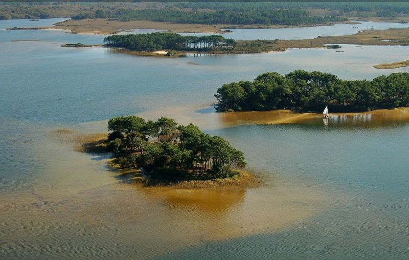 foto 20 Mietobjekt von Privatpersonen Lacanau maison Aquitanien Gironde Nahaufnahme