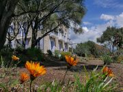 Ferienunterknfte Corse Du Sud: studio Nr. 7884