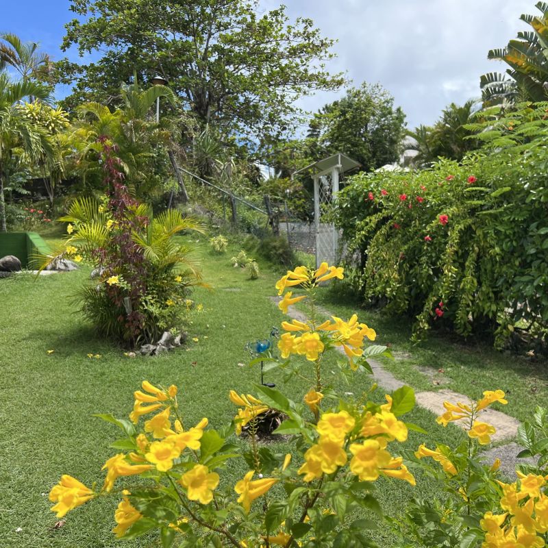 foto 13 Mietobjekt von Privatpersonen Le Gosier (Guadeloupe) studio Grande Terre  Garten