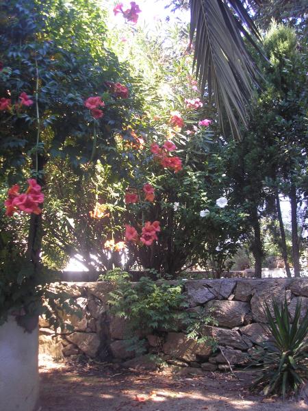 foto 12 Mietobjekt von Privatpersonen Rosas appartement Katalonien Provinz Girona Garten