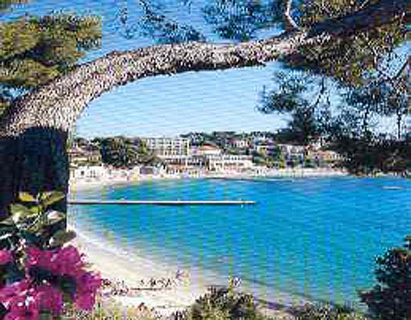 foto 11 Mietobjekt von Privatpersonen Bandol appartement Provence-Alpes-Cte d'Azur Var Strand