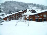 Ferienunterknfte skigebiete Franzsische Alpen: appartement Nr. 927