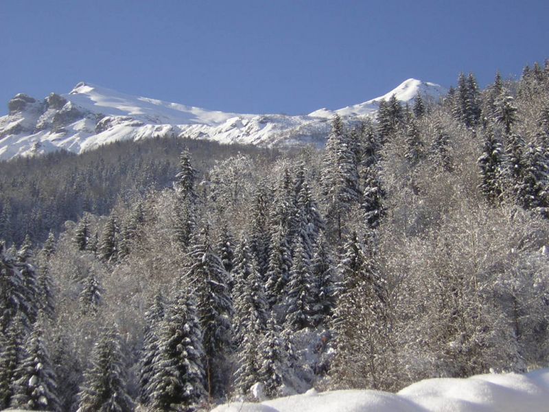 foto 13 Mietobjekt von Privatpersonen Les Contamines Montjoie maison Rhne-Alpes Haute-Savoie