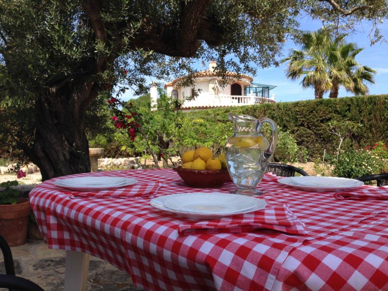 foto 5 Mietobjekt von Privatpersonen L'Ampolla villa Katalonien Provinz Tarragona Garten