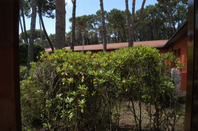 foto 6 Mietobjekt von Privatpersonen Principina a Mare appartement Toskana Grosseto (+Umland) Garten