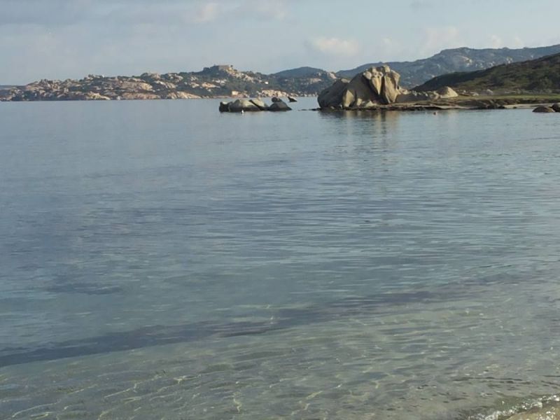 foto 18 Mietobjekt von Privatpersonen Santa Teresa di Gallura maison Sardinien Olbia Tempio (+ Umland) Strand