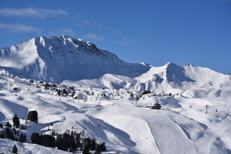 foto 9 Mietobjekt von Privatpersonen La Plagne appartement Rhne-Alpes Savoyen Ausblick von der Terrasse