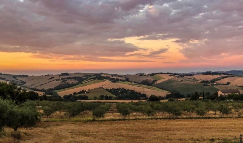 foto 3 Mietobjekt von Privatpersonen Marotta maison Marken (Marche) Pesaro Urbino (+Umland) Ausblick aus der Ferienunterkunft