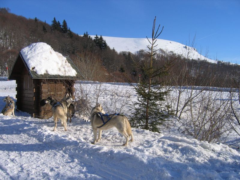 foto 17 Mietobjekt von Privatpersonen La Tour d'Auvergne appartement Auvergne Puy-de-Dme