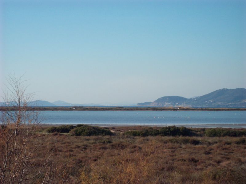 foto 14 Mietobjekt von Privatpersonen Hyres appartement Provence-Alpes-Cte d'Azur Var Ausblick aus der Ferienunterkunft