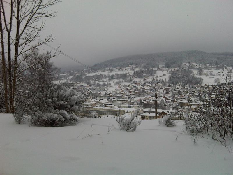 foto 11 Mietobjekt von Privatpersonen Grardmer appartement Lorraine Vogesen Ausblick aus der Ferienunterkunft