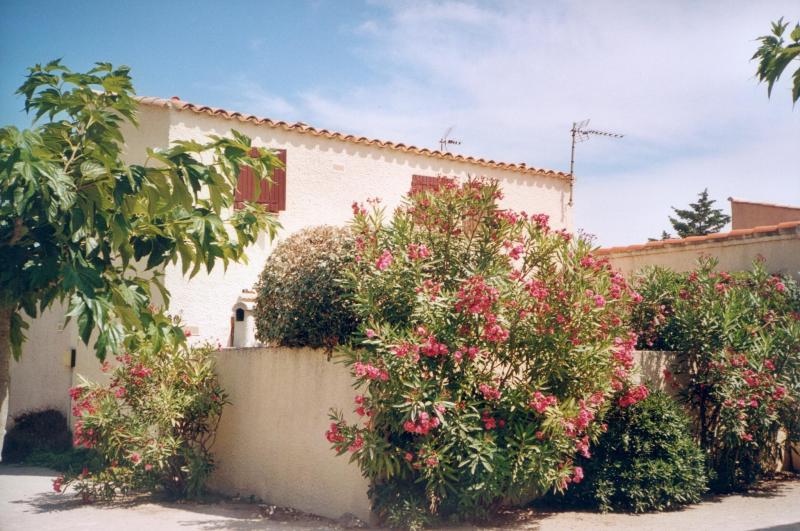 foto 0 Mietobjekt von Privatpersonen Le Barcares maison Languedoc-Roussillon Pyrenen (Mittelmeer) Ansicht des Objektes