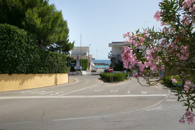 foto 12 Mietobjekt von Privatpersonen Torre Vado maison Apulien Lecce (+Umland) Ausblick aus der Ferienunterkunft