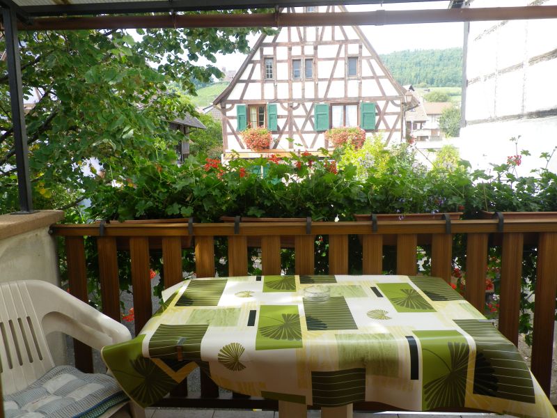 foto 5 Mietobjekt von Privatpersonen Kintzheim gite Elsass Unterelsass Ausblick vom Balkon