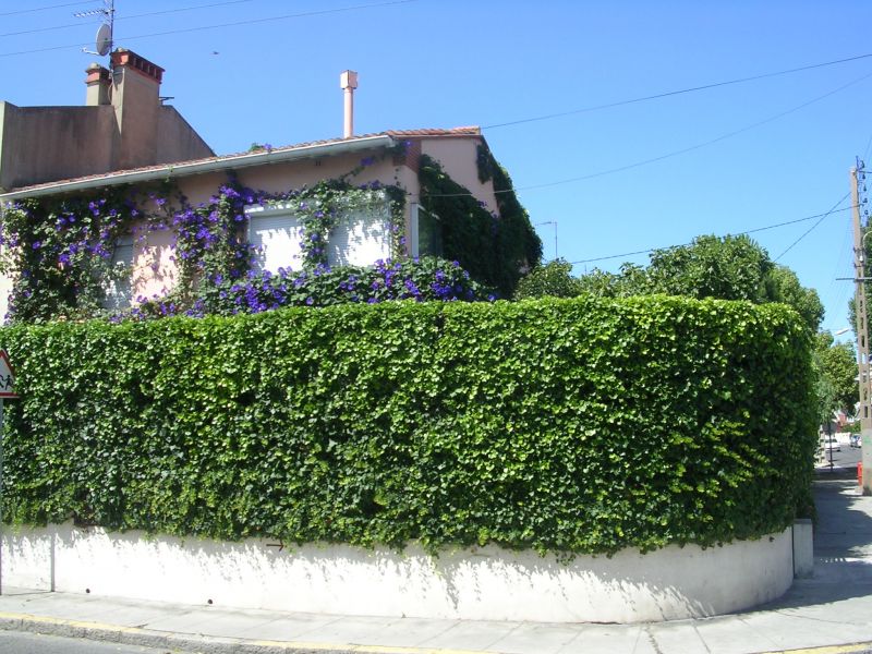 foto 0 Mietobjekt von Privatpersonen Perpignan maison Languedoc-Roussillon Pyrenen (Mittelmeer) Ansicht des Objektes