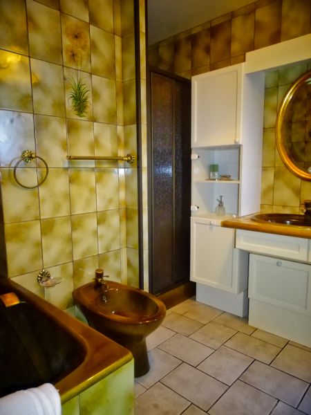 foto 21 Mietobjekt von Privatpersonen Besse - Super Besse villa Auvergne Puy-de-Dme Badezimmer 1