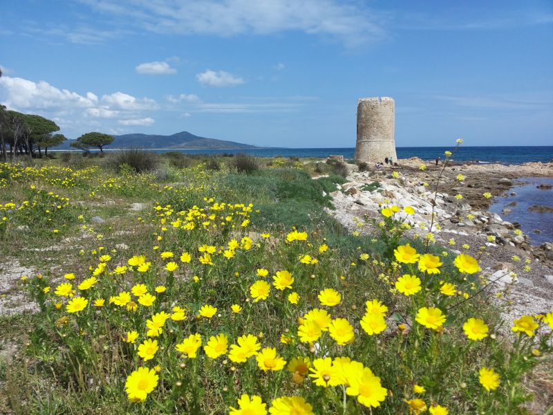 foto 22 Mietobjekt von Privatpersonen Posada appartement Sardinien Nuoro (+Umland) andere