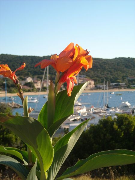foto 18 Mietobjekt von Privatpersonen Porto Pollo villa Korsika Corse du Sud Ausblick aus der Ferienunterkunft