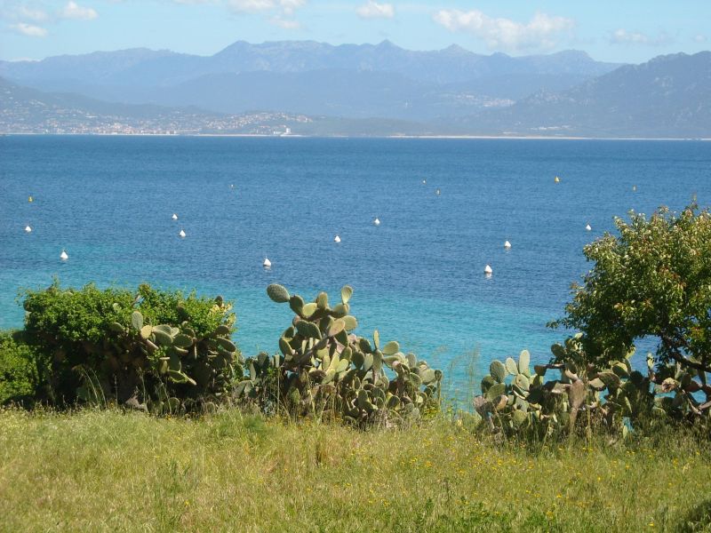 foto 10 Mietobjekt von Privatpersonen Porto Pollo villa Korsika Corse du Sud Ausblick aus der Ferienunterkunft