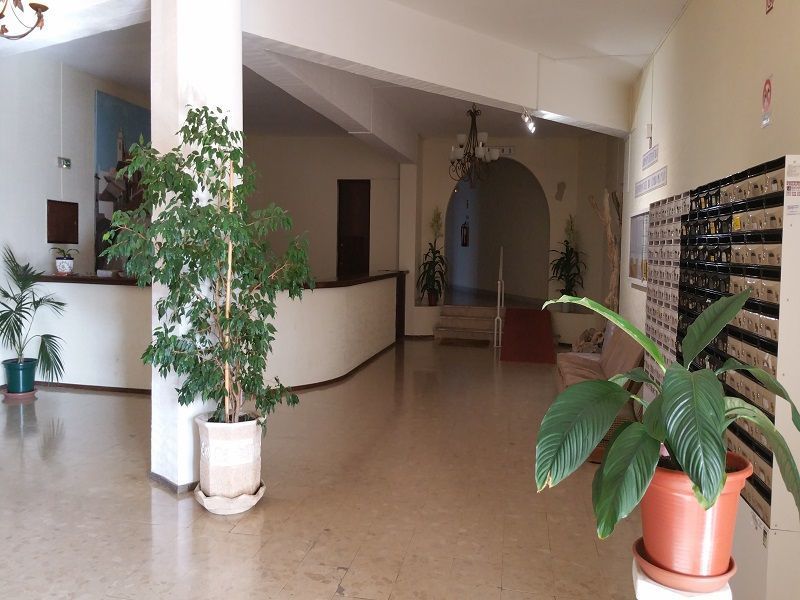 foto 4 Mietobjekt von Privatpersonen Portimo appartement Algarve