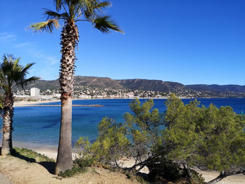 foto 27 Mietobjekt von Privatpersonen Le Lavandou maison Provence-Alpes-Cte d'Azur Var Nahaufnahme