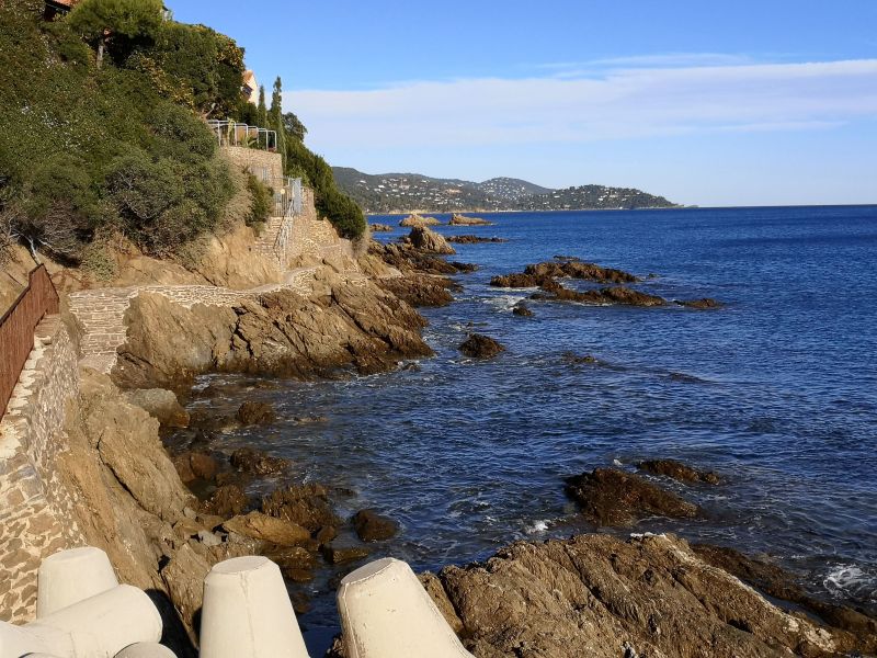 foto 28 Mietobjekt von Privatpersonen Le Lavandou maison Provence-Alpes-Cte d'Azur Var Nahaufnahme